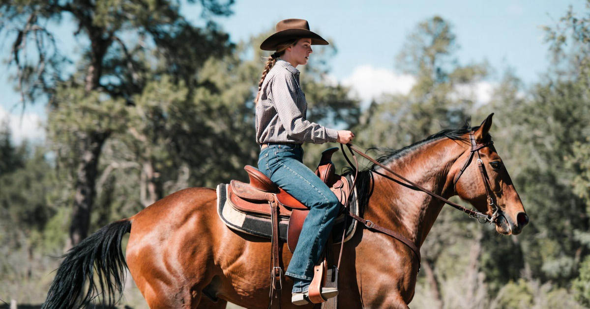Western rider on a chestnut horse