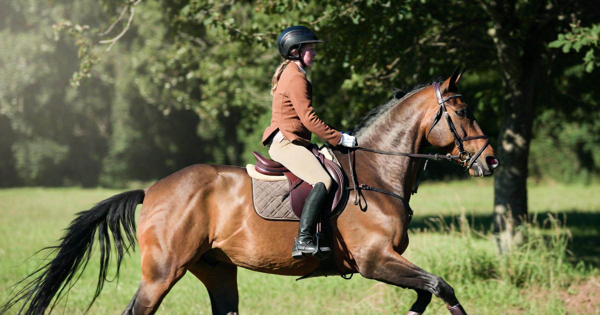 A Movement Brand Name With Equestrian Roots